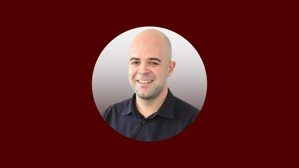 Flock of birds by Nick Diakanastasis